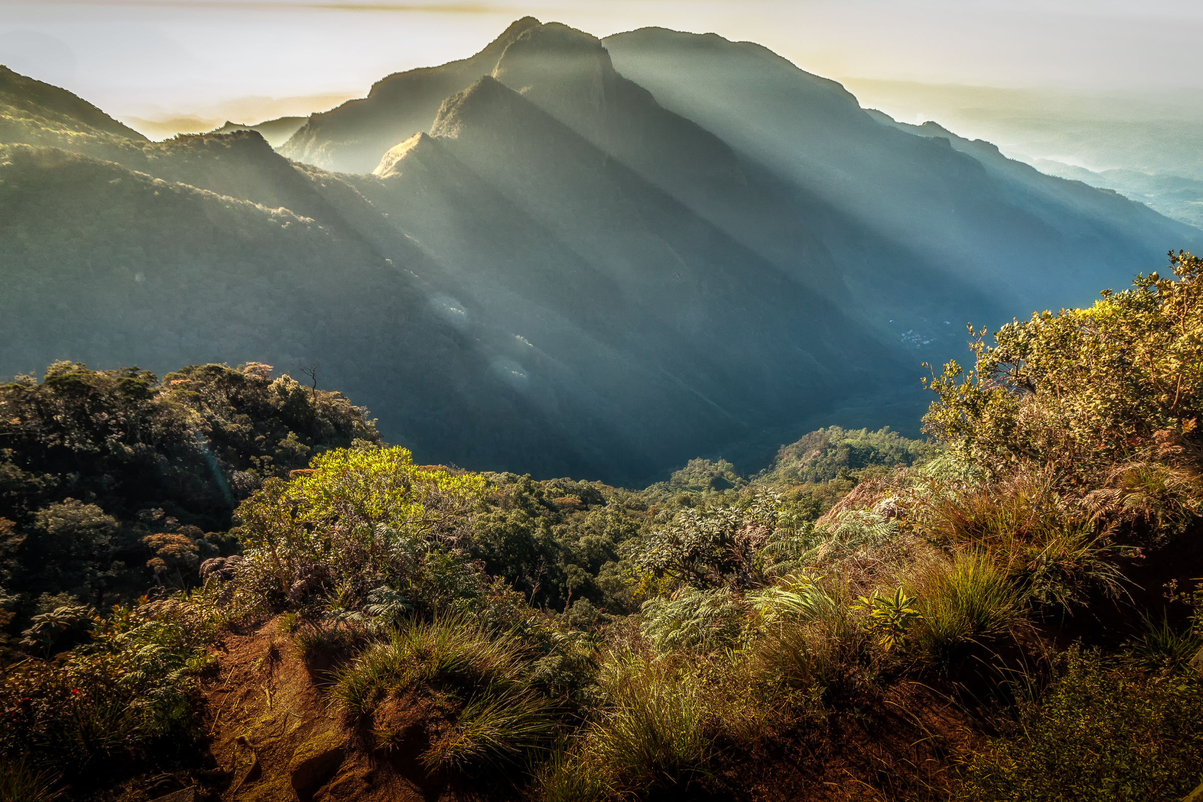 horton plains national park (sri lanka) (2).webp